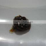 Polyurea Grease thumbnail-2