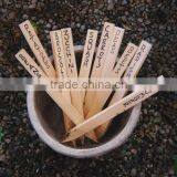 Wooden Plant Labels thumbnail-6