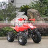 (JLA-07-05) Gasoline Mini Atv Chinese Quad Bike 49cc Mini Atv thumbnail-3