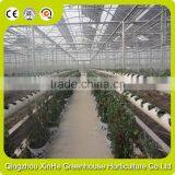 Wholesale Commercial Greenhouse/Poultry Farm Greenhouse Hydroponic Greenhouse Systems thumbnail-1
