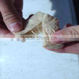 Textured Soy/Vegetable Protein