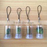 Wholesale Factory Cheap Glass Potted Meaty Cactus Plant Keychain, Super Mini Personal Gift Decorative Keychain Plant Design thumbnail-1