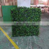 Guangzhou Shengjie Artificial Wholesale Cheap Price Grass Mat/grass Carpet for Hedge /grass Turf thumbnail-6