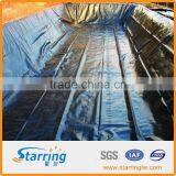 Chinese Top HDPE Geomembrane for Dam Lining thumbnail-2