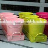 Popular Unique Flower Pot thumbnail-1