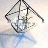 Hanging Glass Terrarium with chain hanger