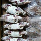 Frozen Whole Blue Swimming Crab For Sale thumbnail-2