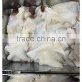 Frozen Giant Peru Fillet Squid Neck Size 500+ on Sale thumbnail-4