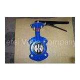 Simple and Compact Construction Two Shaft Wafer Butterfly Valve For Air, Steam, Water