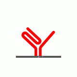 Shanghai Zhongya Neon Technology Co., Ltd.