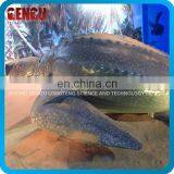 Indoor Playground High Simulation Lifesize Sea Turtle Model