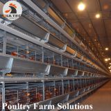 H type layer chicken cage with automatic feeding machine, ee collecting machine