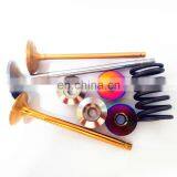 JP Custom Gold Titanium Intake Valves Exhaust Valve Kits For BMW Turbo N54 E36 E34 M52 N52 M50325IS 525 328I S50 M44 S52 S50B30