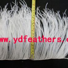 Ostrich Feather Fringe/Trim sewn on Cord from China