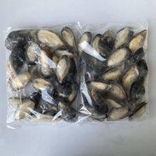 Frozen Half Shell Mussel thumbnail-2