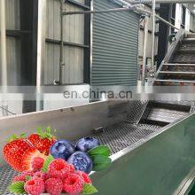 Fast Speed Full Automatic Fruit Berry Juice Filling Production Line