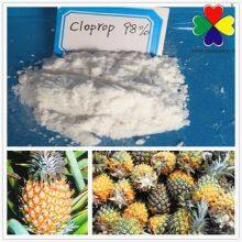 High Quality Plant Rooting Cloprop for Agriculture Fruitone-CPA 3-cpa thumbnail-2
