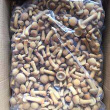 IQF Frozen Nameko Pilztaste Pilztaste thumbnail-2