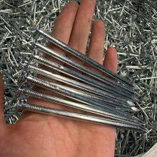 Wood Nails Q195 Steel 1/2-10 Inch Electro Galvanized Option China Factory thumbnail-5