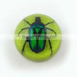 2016 New Style Business Particularly Promotion Gift Paperweight With Real Insect Spide thumbnail-1