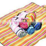 Picnic Blanket thumbnail-6