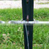 Green Painted 10 ft t Post