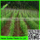 Strong Durable Trellis Netting Pea & Bean Support Net Tent Grow Net thumbnail-3