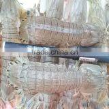 Frozen Squilla Mantis Shrimp thumbnail-2