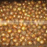 Low price high quality 2014 new crop fresh onion