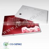 Fashional Promotion Gifts, USB Postcards