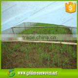 Eco Fabric Nonwoven Fabric/uv Resistance Agriculture Nonwoven/non Woven Fabric Made in China thumbnail-3