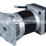 Gsa Series Italian Type Brushless 2 Pole Single Phase Alternator thumbnail-1