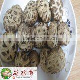 Dried White Flower Shiitake Mushroom in Henan Local Planting