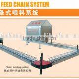 Chain Conveying Feeding System for Female Breeders