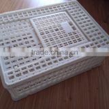 large size plastic crate for poultry birds transport