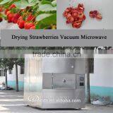 Drying Strawberries Vacuum Microwave thumbnail-1