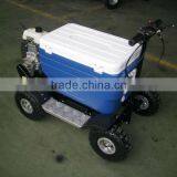 Hot Sale Cheap Popular Gas Cooler Scooter 43CC SX-G110 Popular thumbnail-5