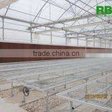 Vegetable Commercial Film Low Cost Greenhouse Multi Span High Quality for Agriculture thumbnail-5