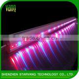 Vanq Interlighting 150W LED Grow Light Bar for Strawberry Seeds in Multiple Color Ratio thumbnail-1