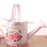 Cheap Metal Watering Can Watering Can Nozzle, Watering Can Spray for Indoor&Garden Decor thumbnail-2