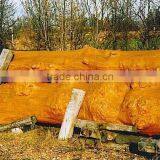 Forestland of 25ha in Tokachi,Hokkaido, Japan thumbnail-1