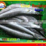 FROZEN BARRACUDA FISH WHOLE ROUND thumbnail-1