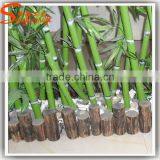 Wholesales Outdoor and Indoor Plastic Artificial Bamboo Tree Bamboo Fence Price on Sale thumbnail-3