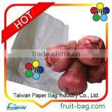 Protective Wax Apple Paper Bag Taiwan Factory Grow Bag Square thumbnail-1