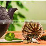 Organic EU Standard Chunmee Green Tea 9366 thumbnail-2