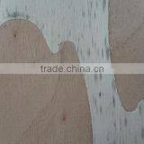 HWB Automatic Veneer Mending Machine thumbnail-6