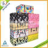 Various pattern Waterproof Coating Foldable Storage Box