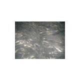 Singapore Ribbon Fish - Scientific Name : Lepturacanthus Saval thumbnail-1