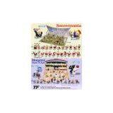 Soccermania thumbnail-1