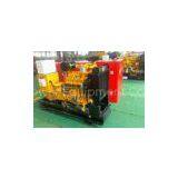 50Hz/60Hz 1500rpm/18000rpm 65kw Industrial Natural Gas Backup Generator With Flame Arrester